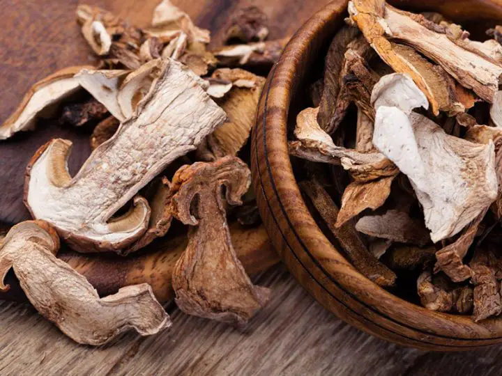 Do Dried Mushrooms Expire? Mushroom Flow