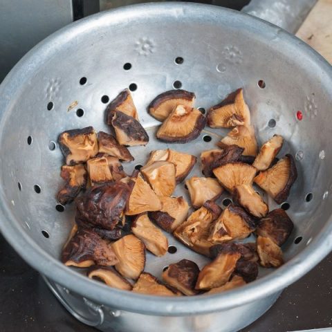 Do Shiitake Mushrooms Smell? (Answered) – Mushroom Flow