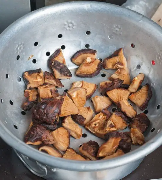 shiitake mushrooms odor