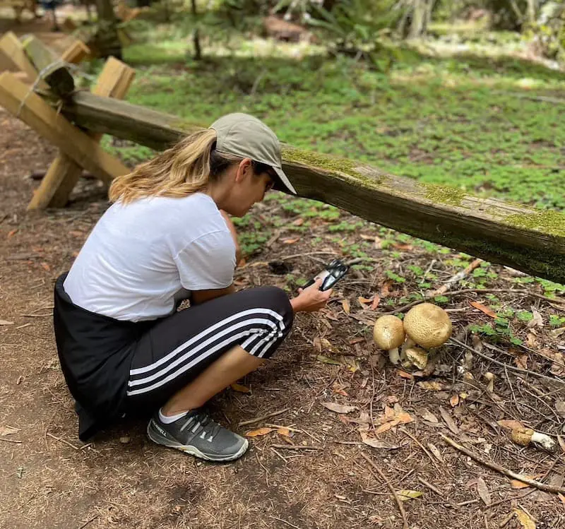 Jackie foraging for mushrooms in a park