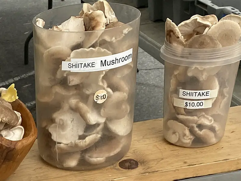 Shiitake mushrooms expensive